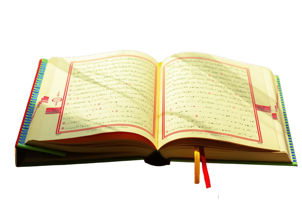 arabic alphabet course online